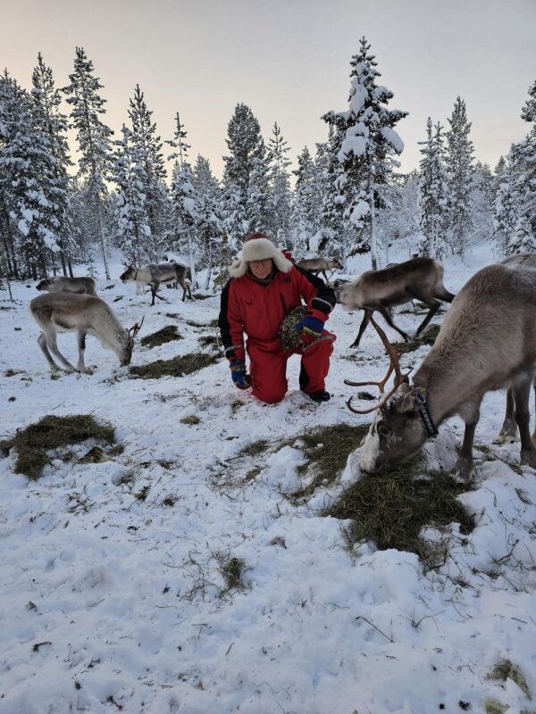 Feed a reindeer with a Sami family (KI20-pt) - Image 21