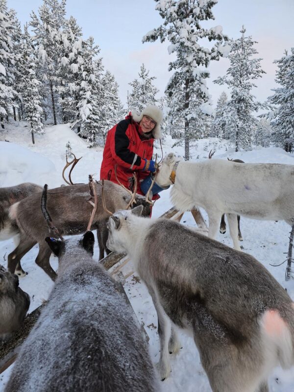 Feed a reindeer with a Sami family (KI20-pt)