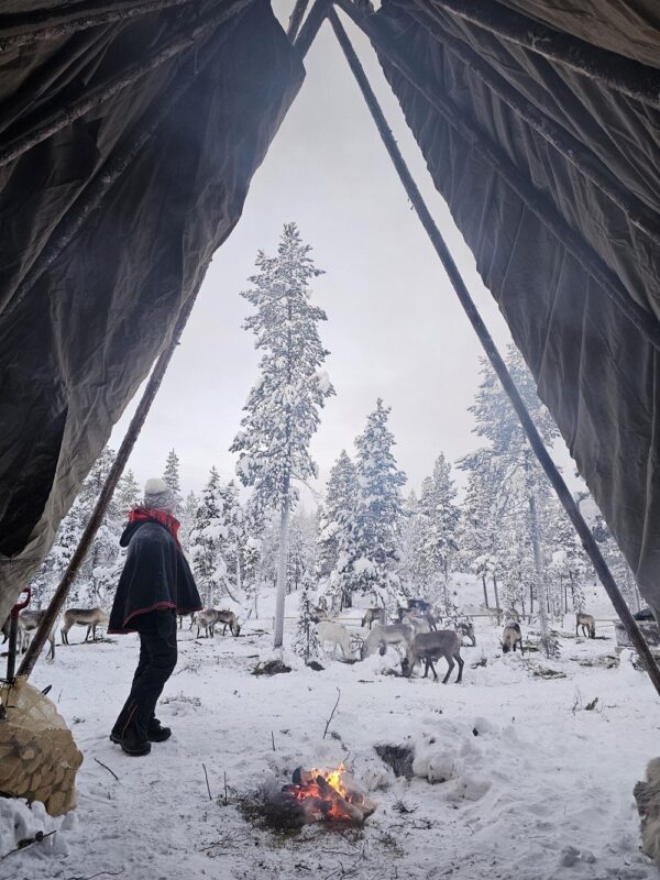 Catch the lights in the Borderland Kirkenes - with 3 overnight stays, Dec - March (KP02) - Image 2