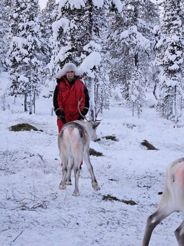 Catch the lights in the Borderland Kirkenes - with 3 overnight stays, Dec - March (KP02) - Image 10