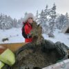 Feed a reindeer and visit a Sami family (GR20 ) – Image 4