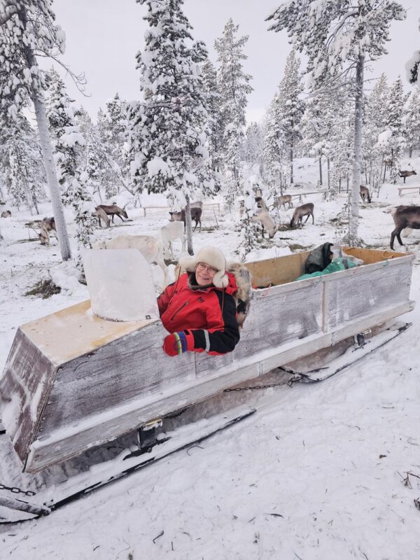 Feed a reindeer with a Sami family (KI20-pt) - Image 6