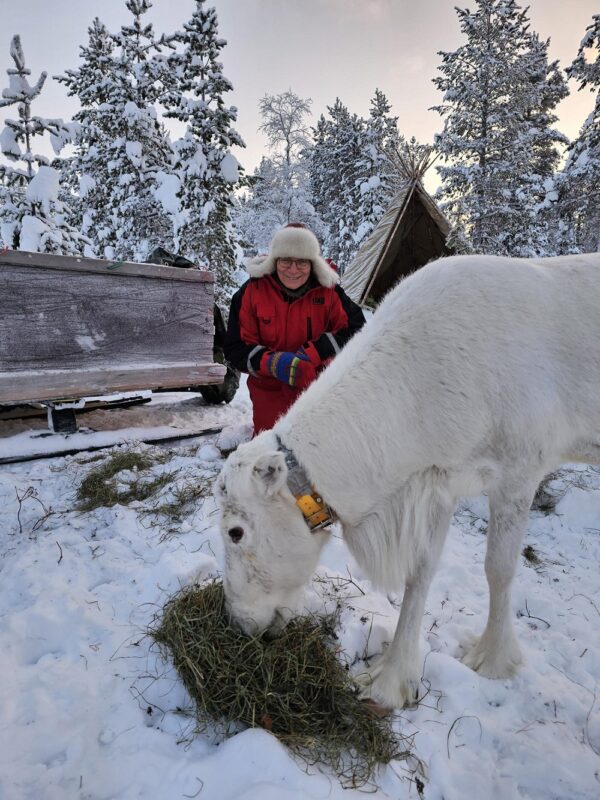 Feed a reindeer with a Sami family (KI20-pt) - Image 4