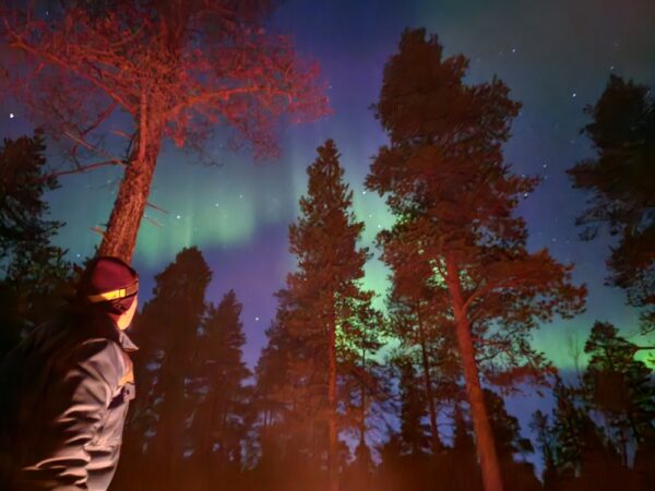 Hunt the Northern lights in the Borderland - private tour (KI30-pt) - Image 3