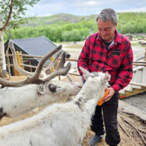 Reindeer feeding at snowhotel