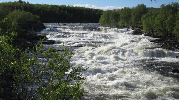 Sightseeing to the Finnish border and the border village of Neiden (HS04-pt) - Image 9