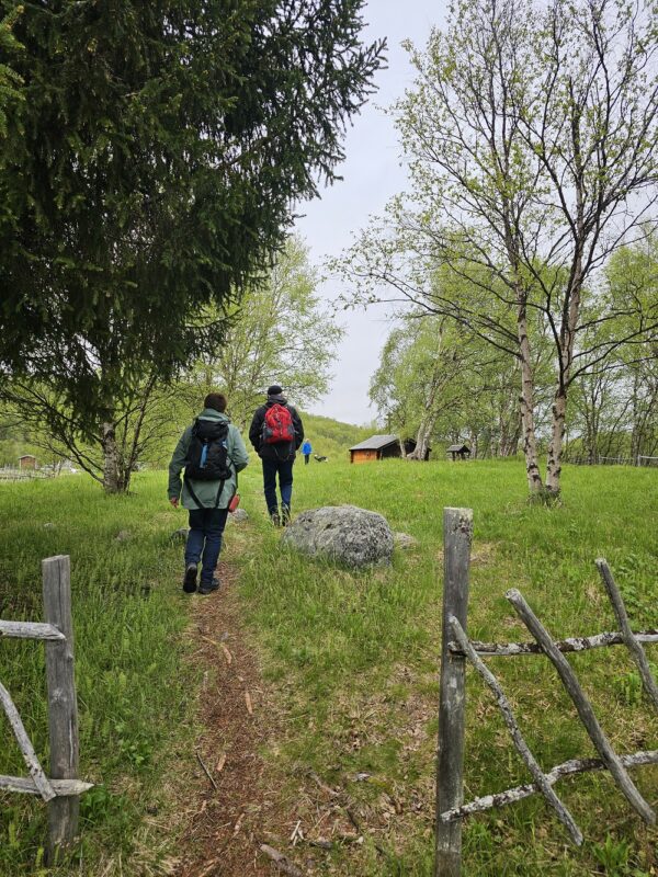 Sightseeing to the Finnish border and the border village of Neiden (HS04-pt) - Image 2