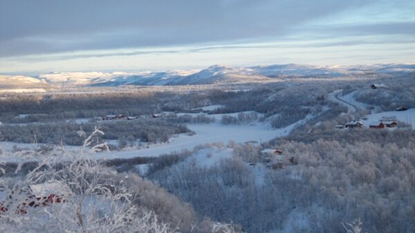 Sightseeing to the Finnish border and the border village of Neiden (HW04-pt) - Image 2