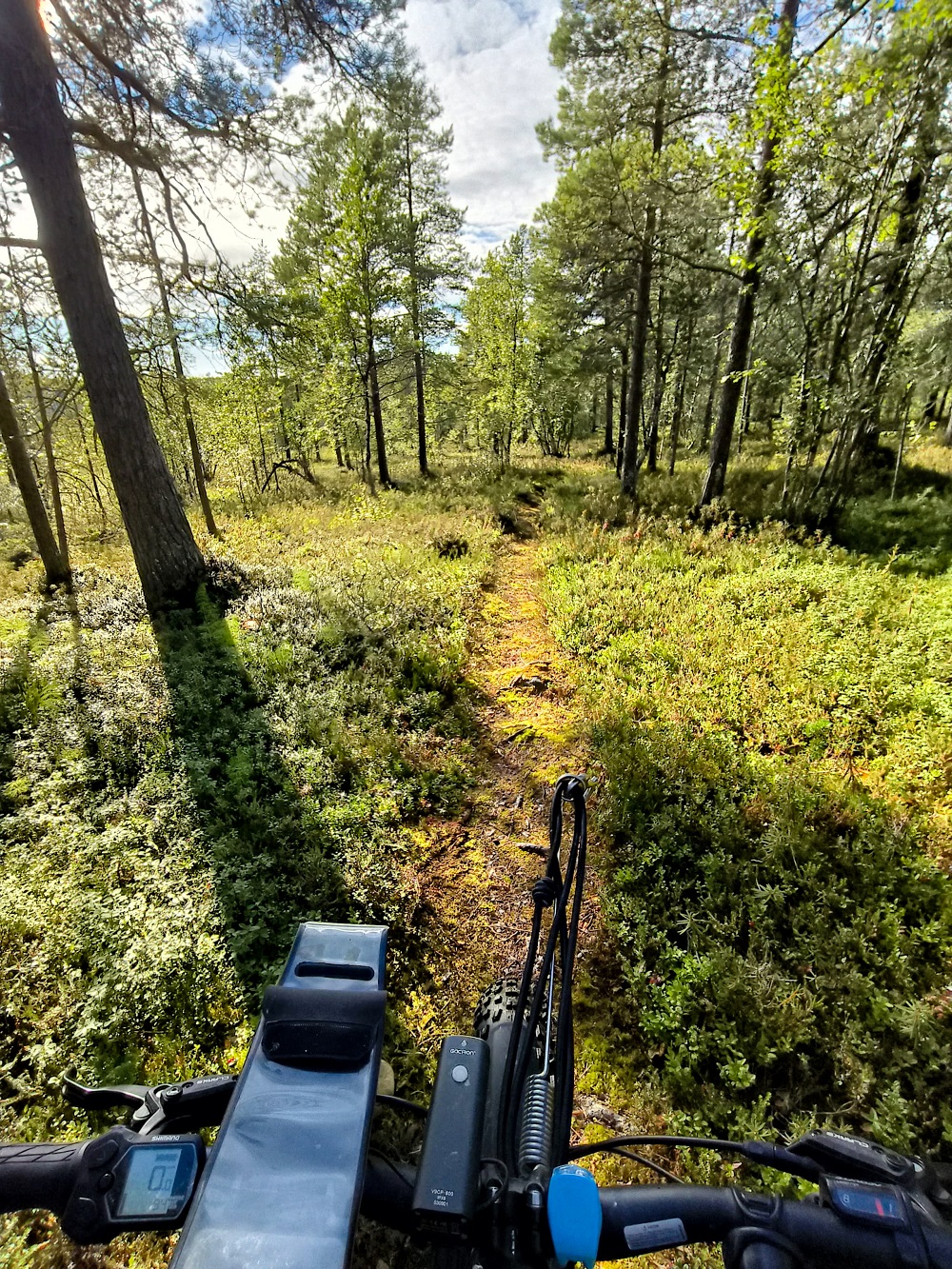 Midnight sun E-fatbike tour (KS61E-kt) - Image 4